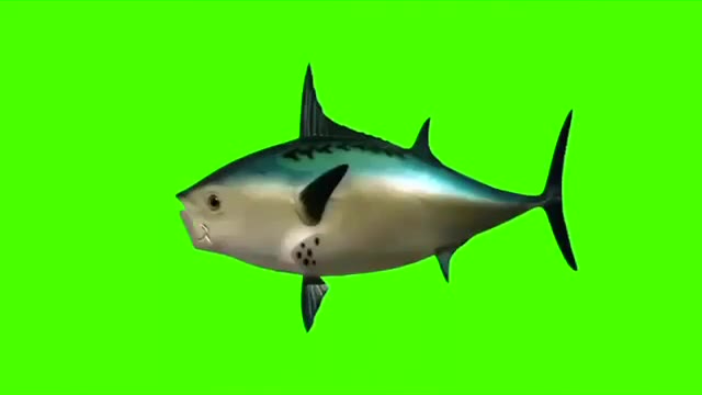 SpongeBob Fish From Intro green screen