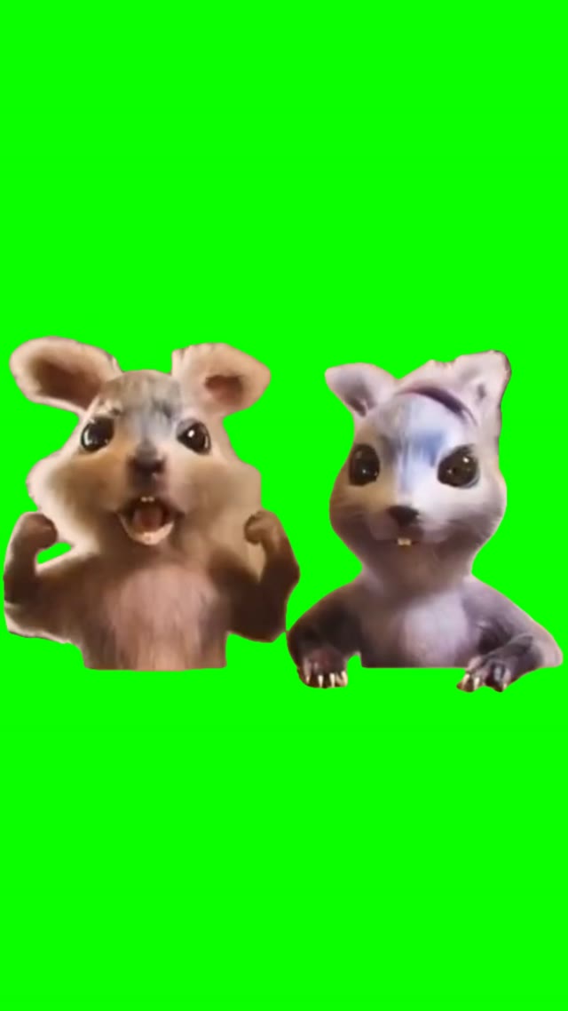 Squirrels Dancing green screen
