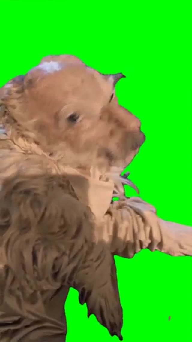 Stinky little baby green screen