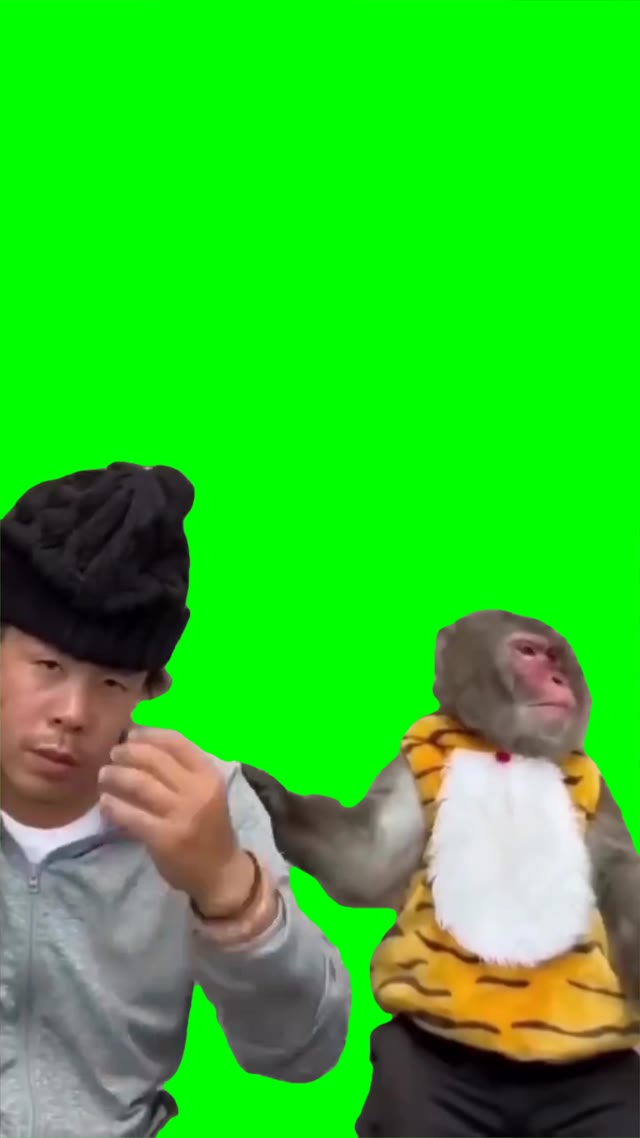 Suprised monkey green screen