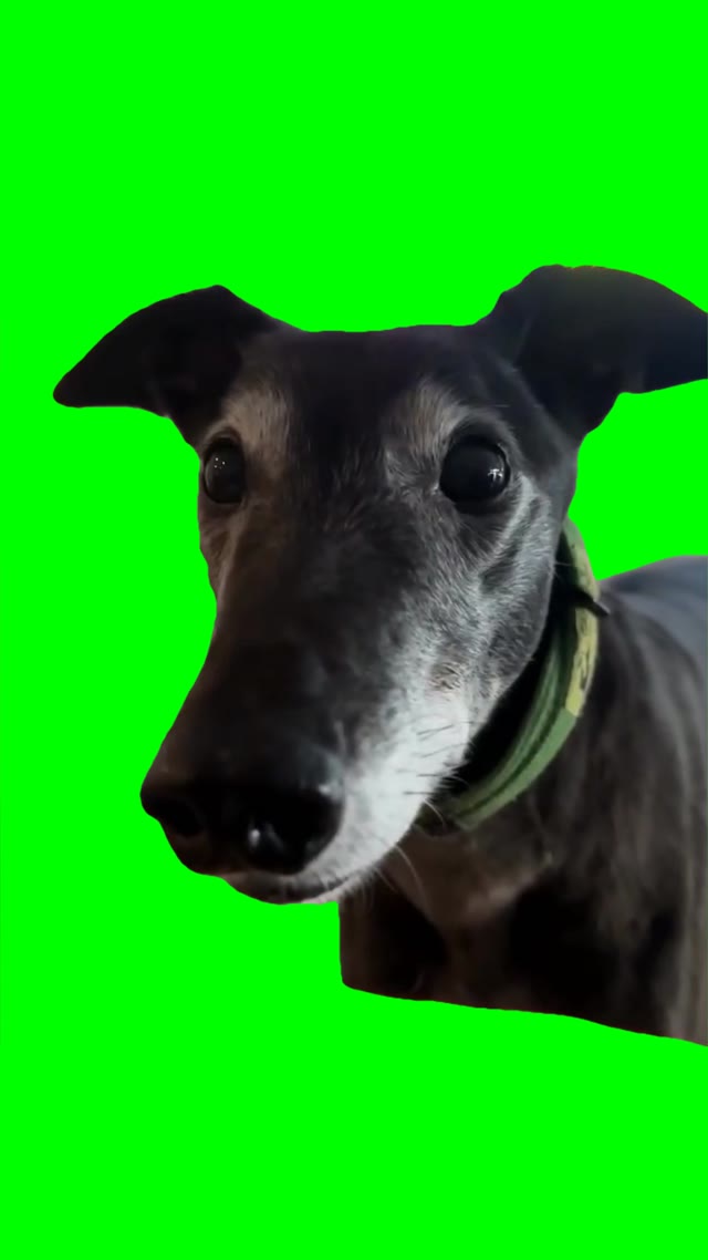 Teeth chattering green screen