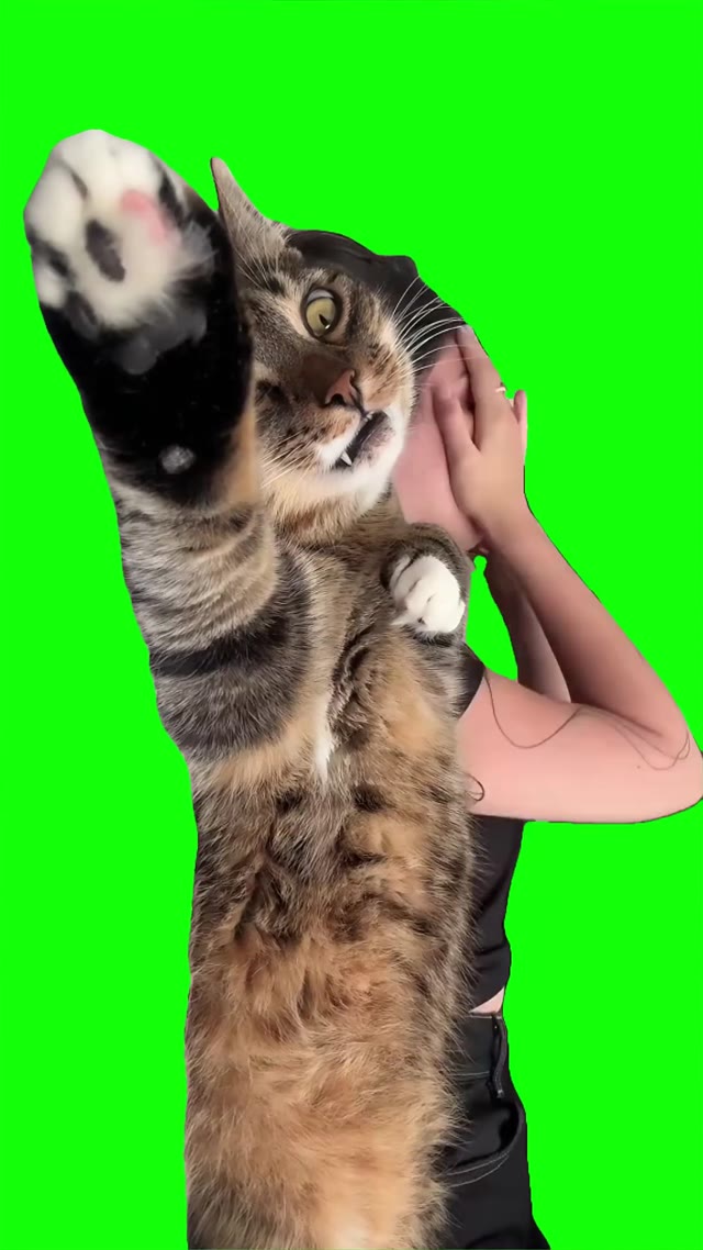 Therapy session green screen