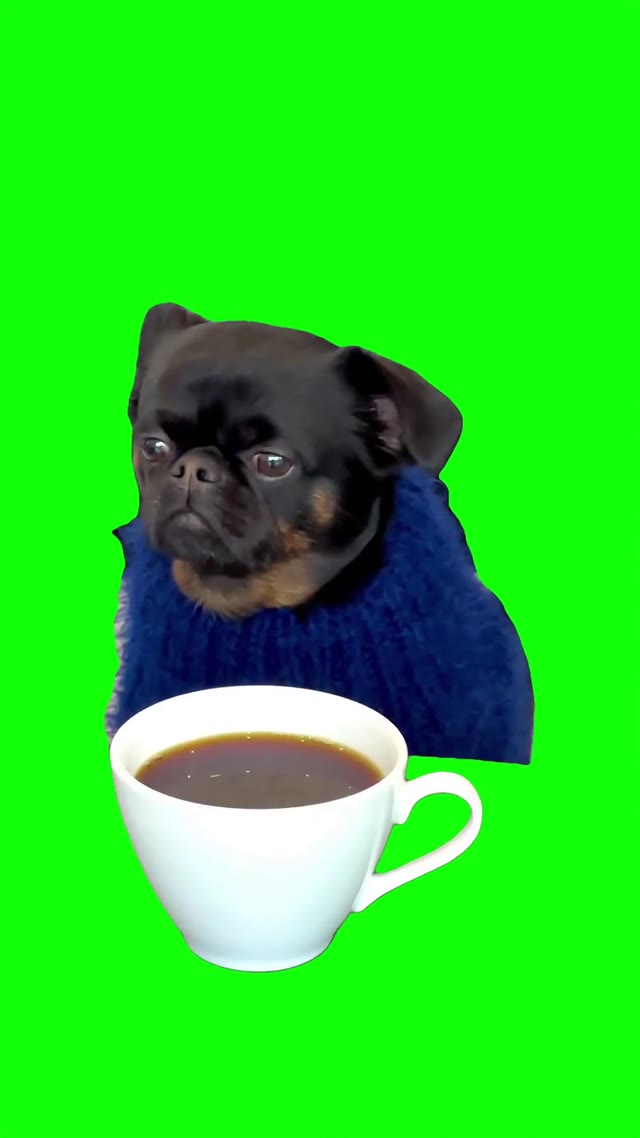 Thinking about everything and nothing  green screen