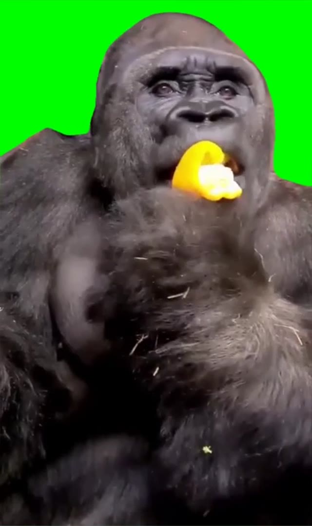 Thought I heard something green screen