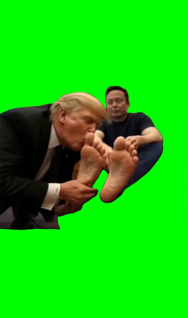 Trump kissing elons feet green screen