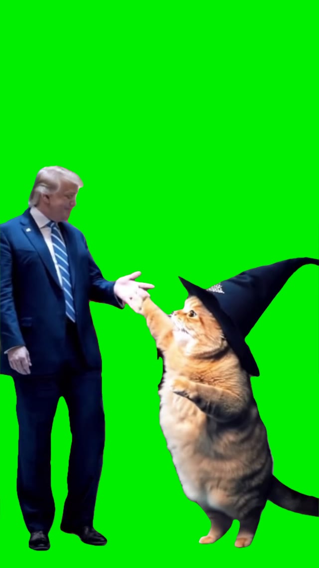 Trump with wizard cat green screen