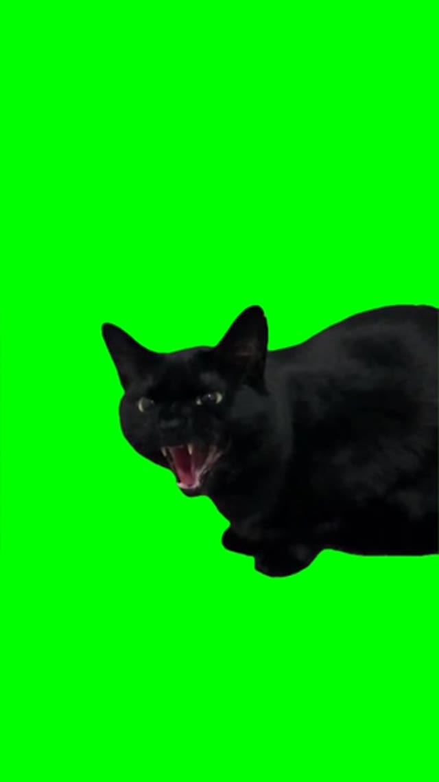 Ung hrrr green screen