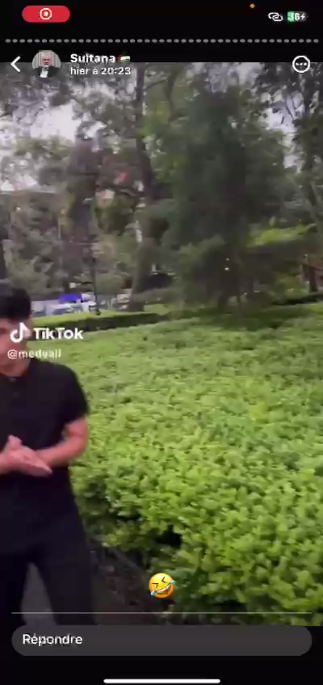 VID 20240822 WA0000 green screen