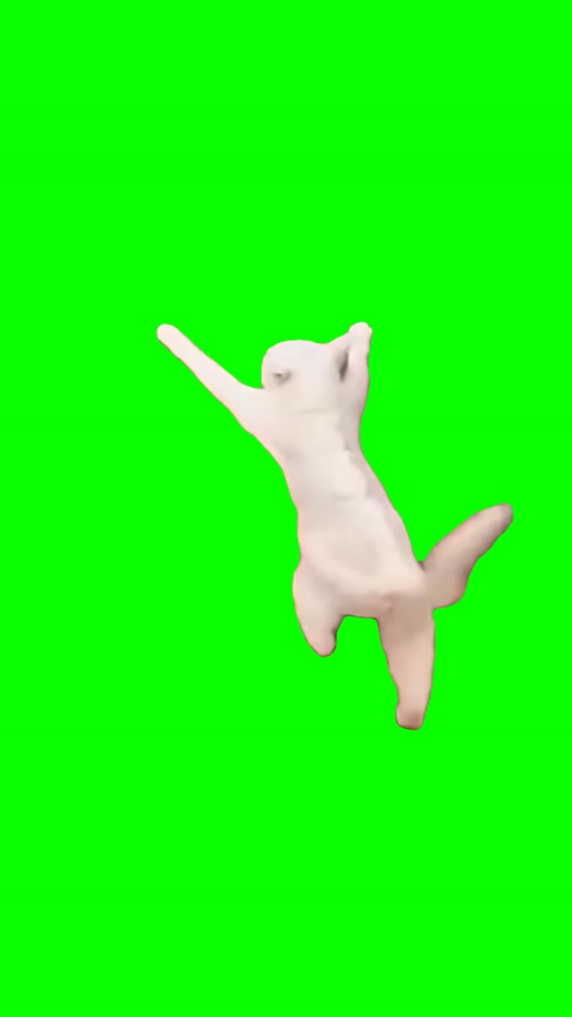 Walking cat green screen