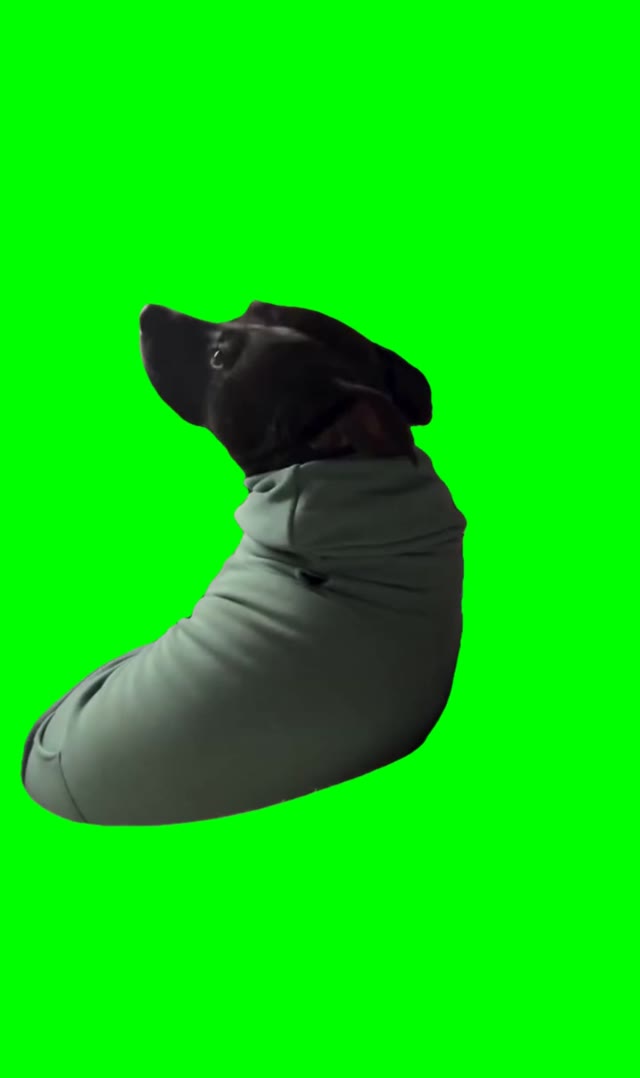 Why are you mad at me green screen