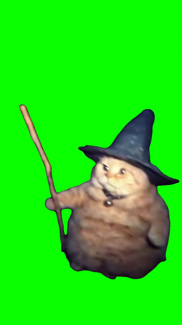 Wizard kitty green screen