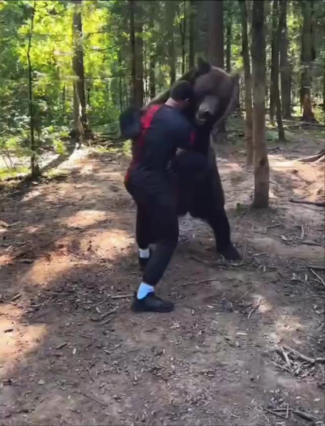 Wrestling a russian bear green screen