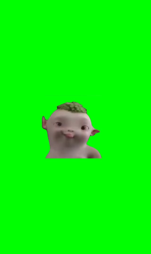 Wuba cute  green screen