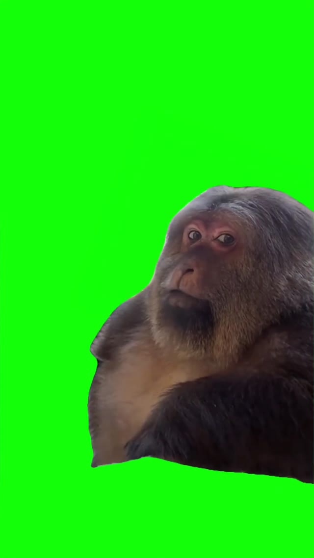 Xing xing side eye green screen