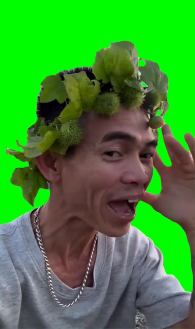 Yeah whooo how are you green screen