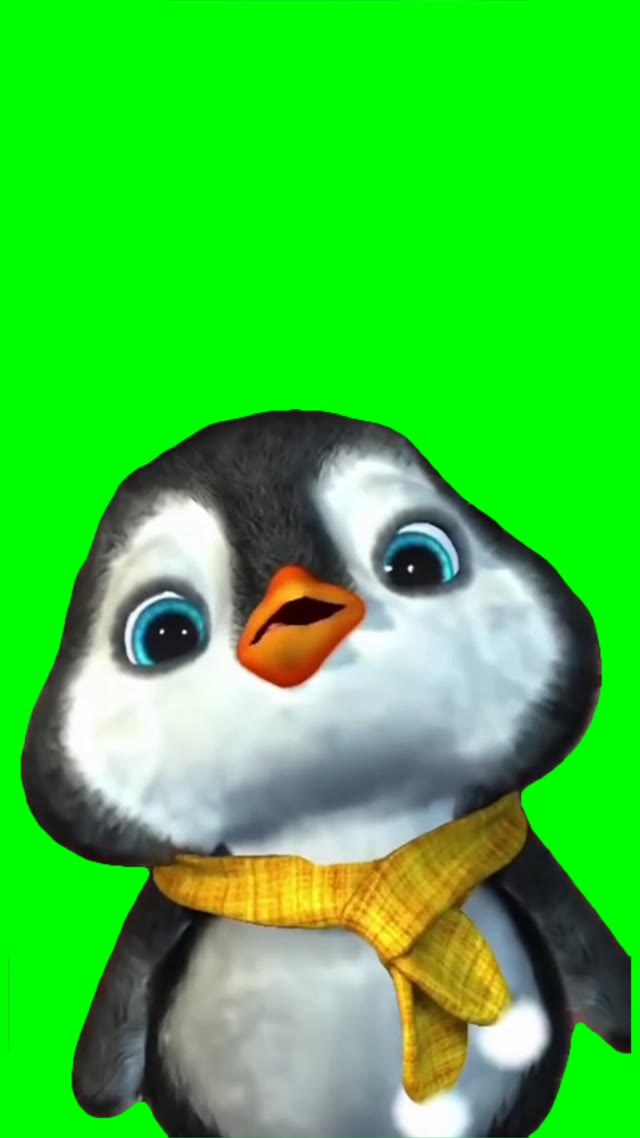 Youre the prettiest person I know green screen