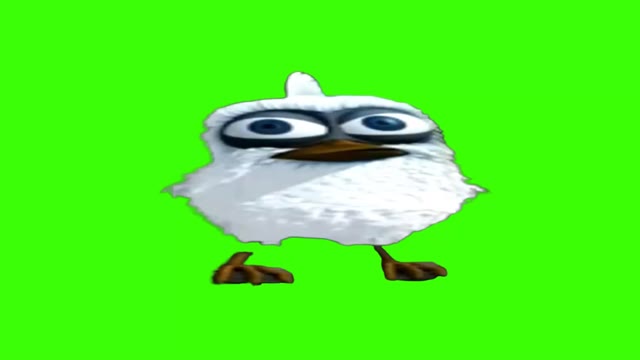 bird screams Assalam Aleykum green screen