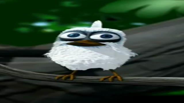 bird screams Assalam Aleykum green screen