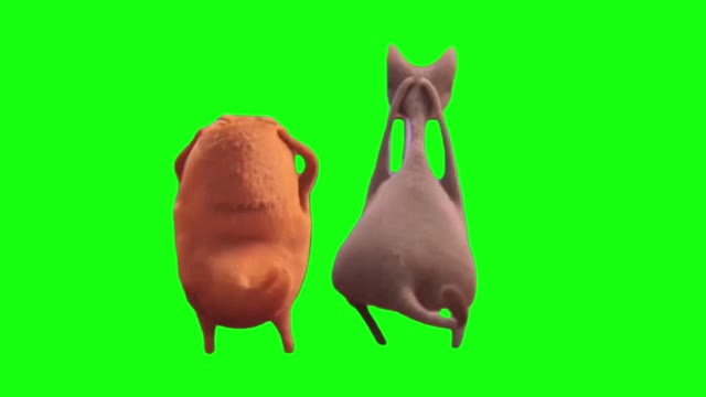 cat and dog dancing green screen