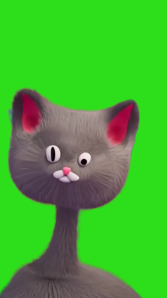 cat laughing animation lol funny green screen