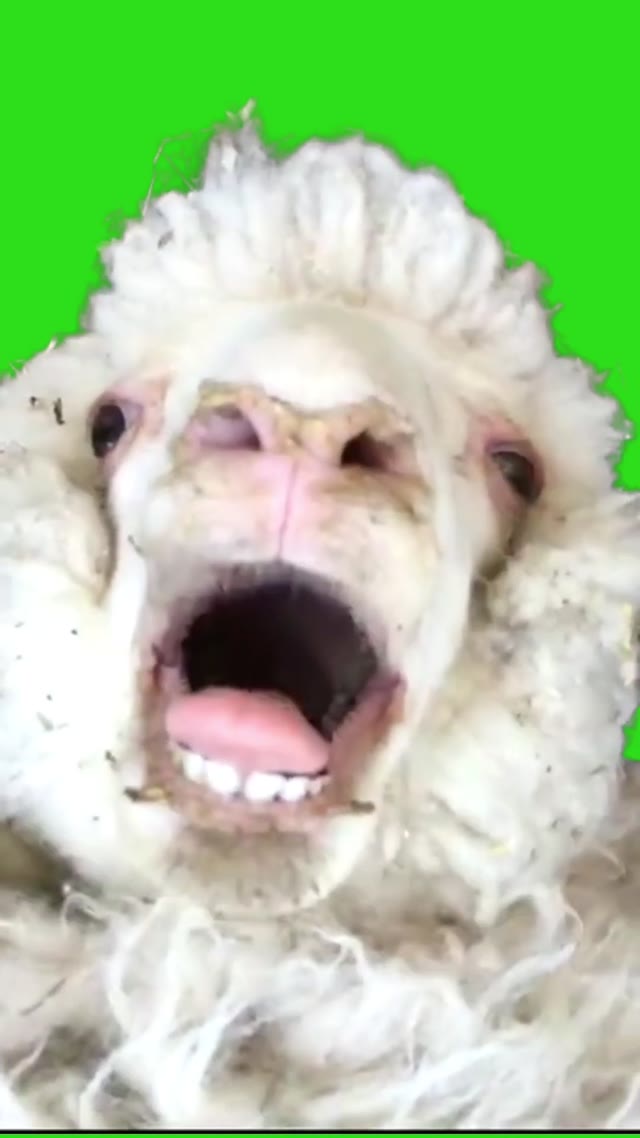 crazy ram lol funnys green screen