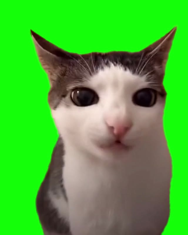 crunchy green screen