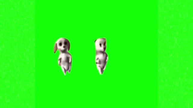 dancing dogs green screen