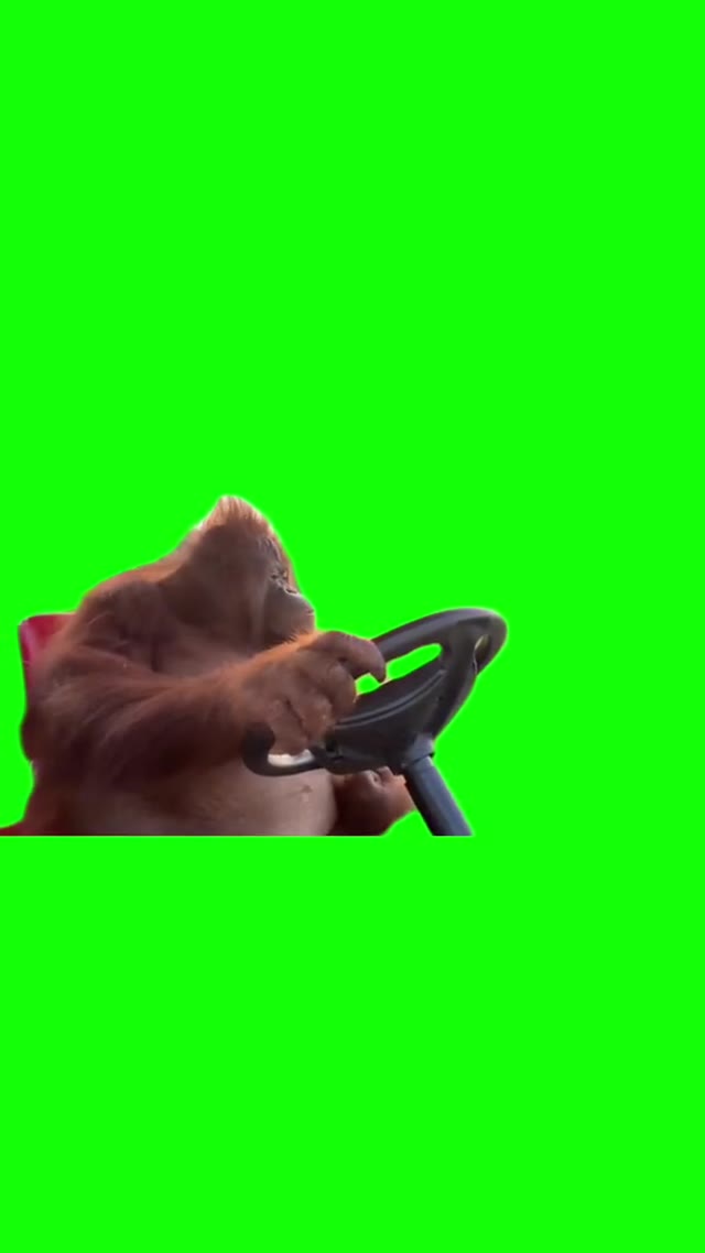 driving green screen