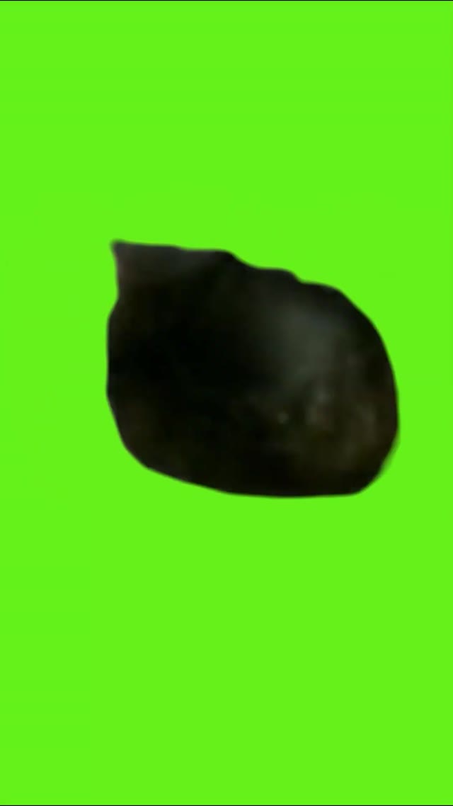 oo_ee_a_e_a_Cat_Green_Screen__shorts__meme__catviral_1080p green screen