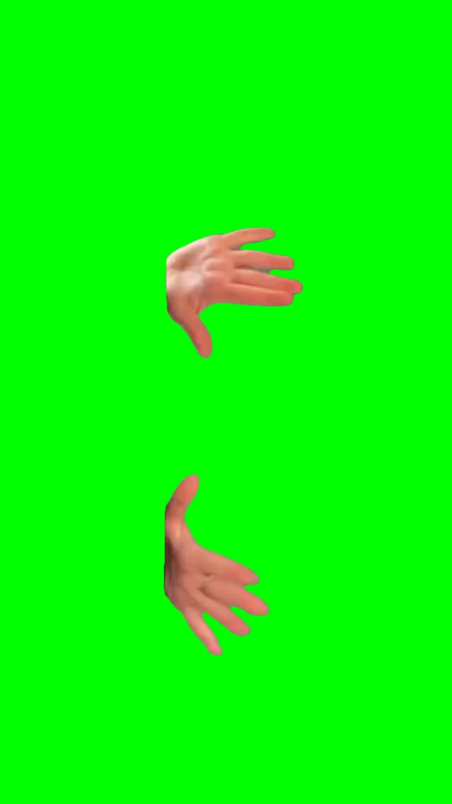 sabrina Carpetner green screen