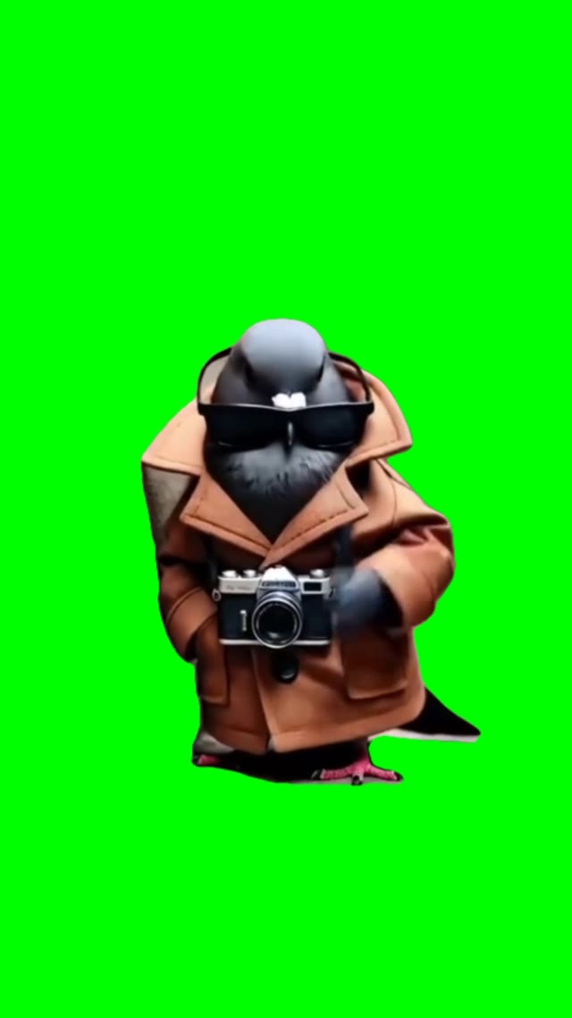 spijuniro golubiro green screen