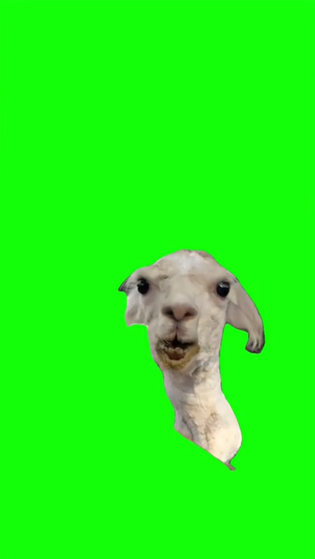 talking goat green screen