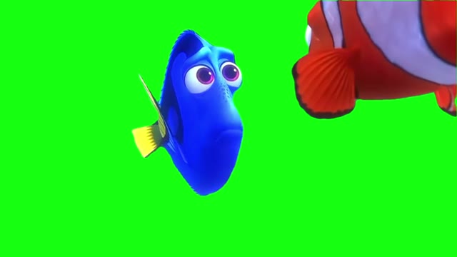you dont like me green screen